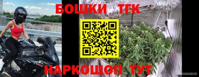 Альфа ПВП Будённовск